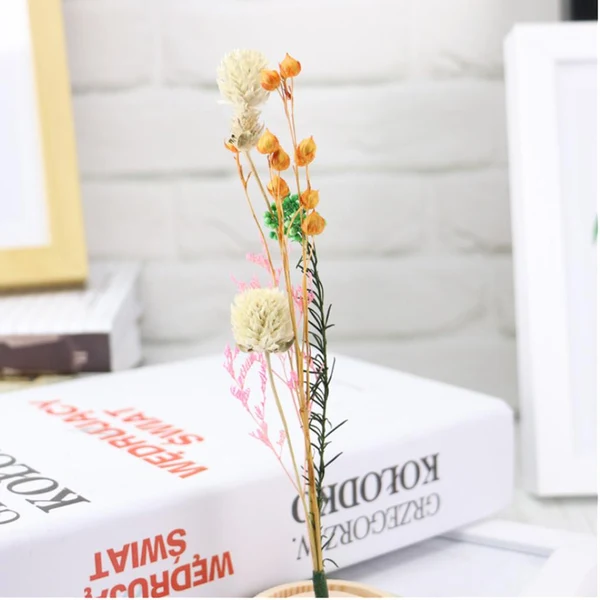 Exclusive Maxbell Romantic Dried Flower Plant Ornament Micro Landscape Glass Cover White Enhanced