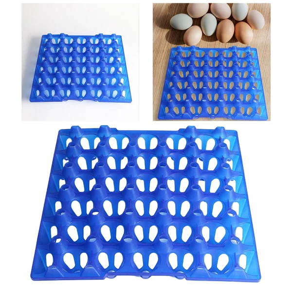 Casual Maxbell Farm Egg Container Long Distance Transport Breathable Plastic Egg Holder Blue Traditional