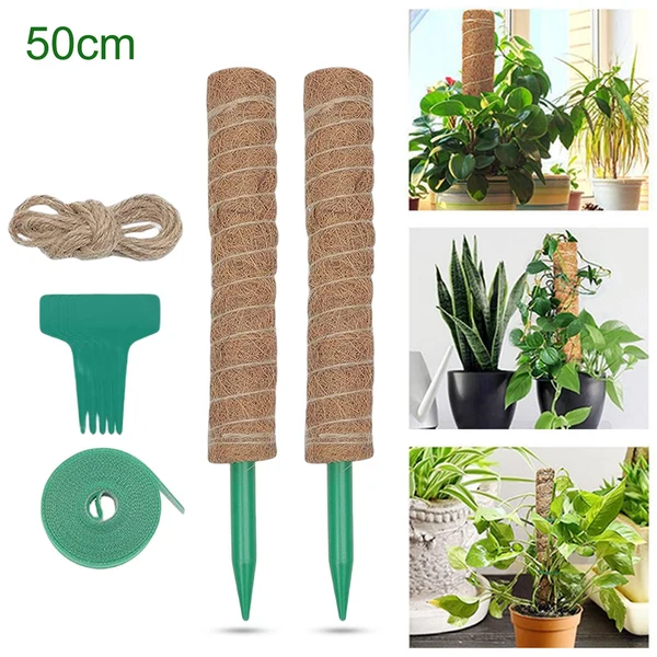 Genuine Maxbell Extension Moss Poles Sticks Stakes for Indoor Plants Garden Potted 50cm Set Recyclable