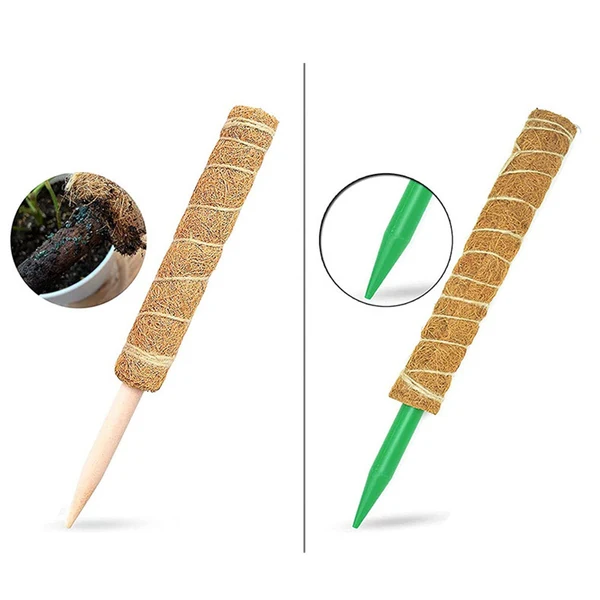 Premium Material Maxbell Extension Moss Poles Sticks Stakes for Indoor Plants Garden Potted 30cm Authentic