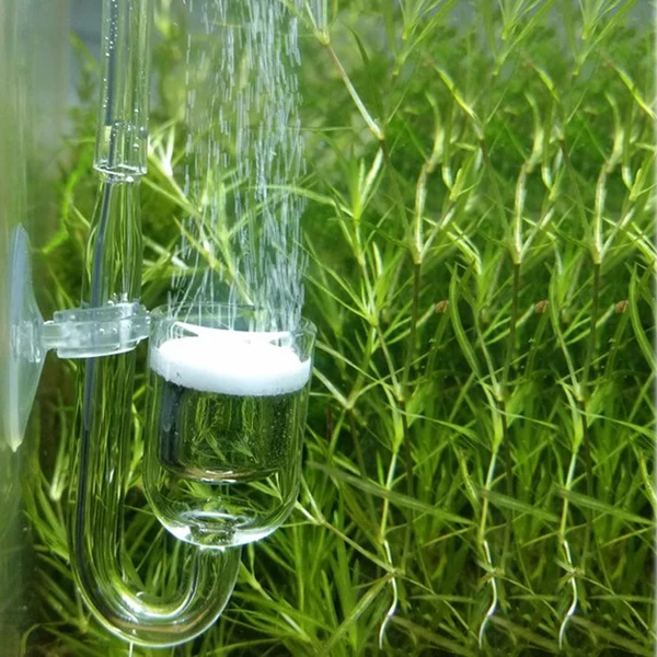 Premium Material Set of 4pcs Fish Tank Aquarium CO2 Diffuser Carbon Dioxide Reactor Breathable