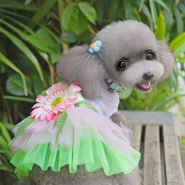 Crafted Maxbell Cute Pet Dog Tutu Dress Sunflower Lace Skirt Princess Clothes Party Dress Size L Carefully Designed