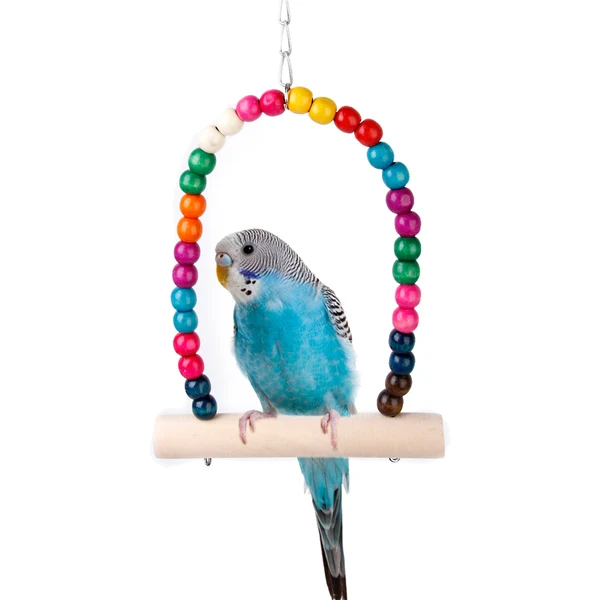 Fashionable Colorful Swing Bird Toy Parrot Cage Toys Cages Parakeet Cockatiel Finch Lovebird Budgie Breathable