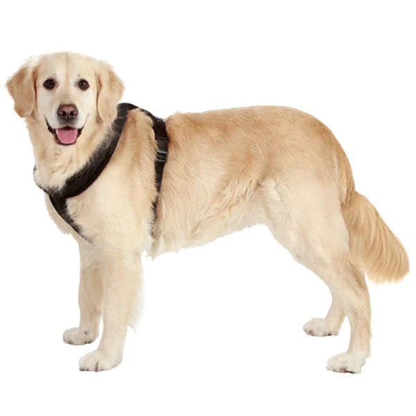 Relaxed Maxbell Dog Safety Adjustable Chest Strap Belt Harness Pet Walking Collar Strap XL High-End