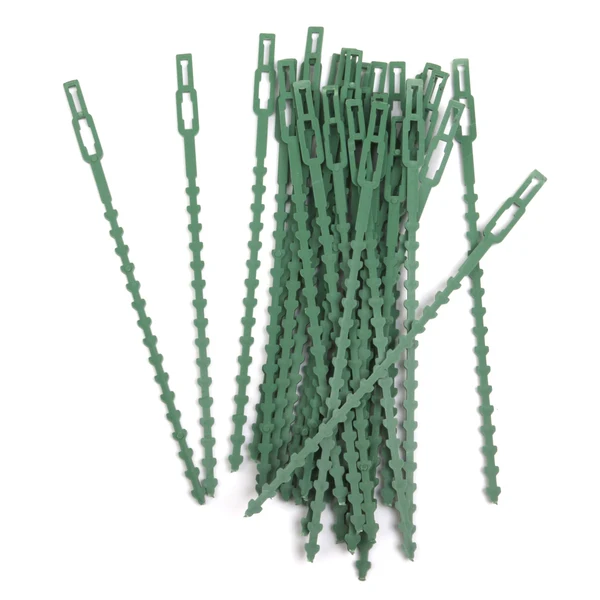 Healthy Maxbell 30pcs 16.5cm Plastic Cable Ties Gardening Clips Plant Ties Green Luxury