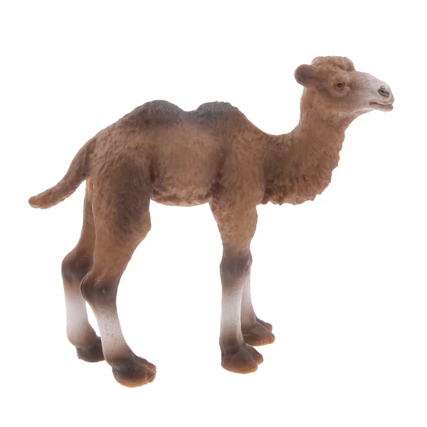 Casual Maxbell istic Little Camel Wild Zoo Animal Model Figurine Figure Kids Toy Gift Superior