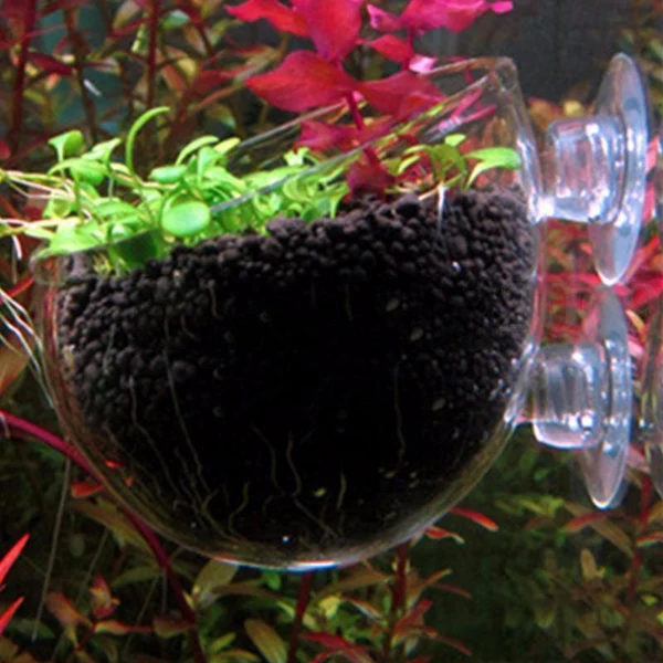 Artisan 3Piece Aquatic Plant Glass Cup Pot for Aquarium Aquascaping Fish Tank Holder Effective