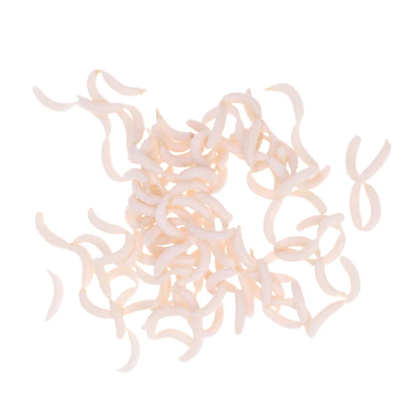 Original Maxbell 120Pcs box Soft Fishing Lures Maggots Grubs White Worms Smell Baits Vivid Versatile