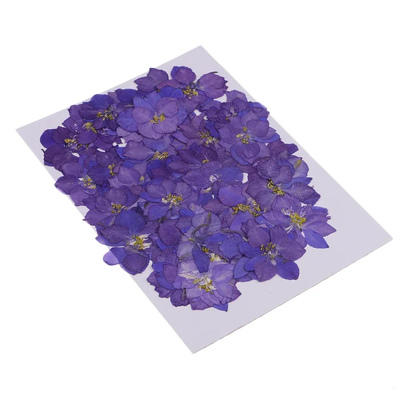 Elegant Maxbell 1 Set of 50PCS Pressed Dried Flowers For Art Craft Scrapbooking Home Floral Decoration Phone Case DIY Blue Delphinium Traditional