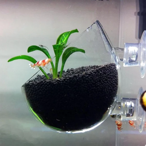 Comfortable 6 Piece Aquarium Fish Tank Crystal Glass Plant Cup Pot with Suction Cup Quality