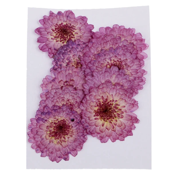 Optimized Maxbell Silicone Mould Sphere Ball Molds with Dried Purple Daisy Flowers DIY Resin Efficient