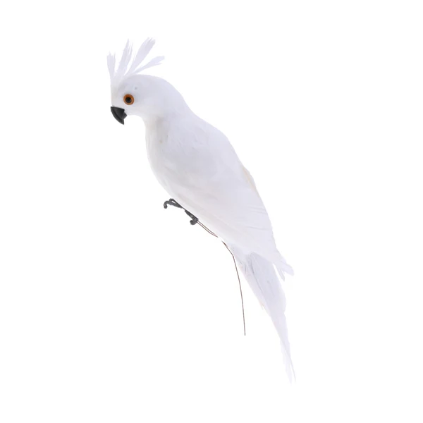 User-Friendly Maxbell 2x istic Parrot Artificial Feather Bird Animal Ornament White Rose Red Official