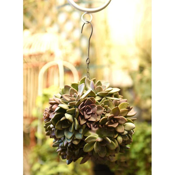 Soft Maxbell 13cm 28cm Retro Iron Ball Shape Succulent Pot Metal Hanging Plant Holder Optimized