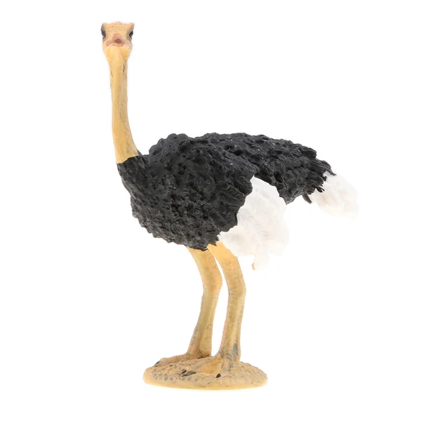 Expertly Made Maxbell 2pcs Simulation Wild Animal Model Figure Toys Figurine Home Decor Ostrich Selected