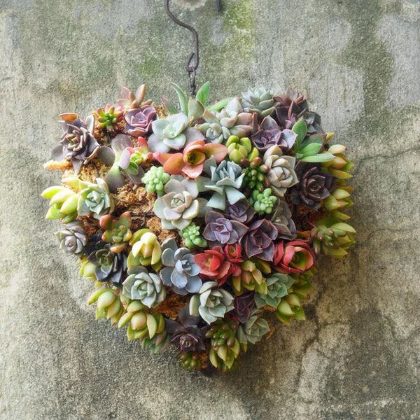 Detailed Maxbell Retro Iron Ball Heart Shape Succulent Pot Metal Hanging Planter Plant Holder Long-Lasting