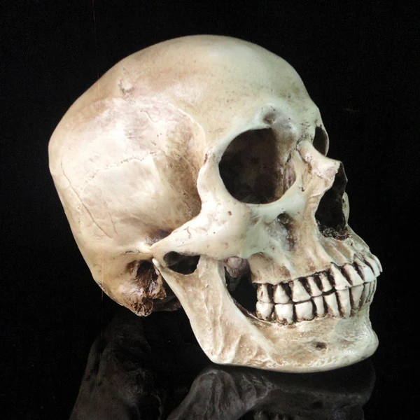 Smart Maxbell 2Pieces Replica Carving Model Ghost Evil Figurine Human Head Statue Home Bar Decor Expertly Made