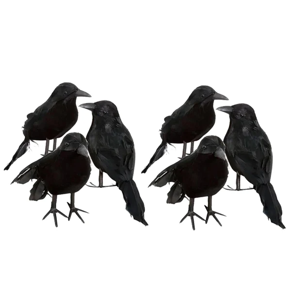 Proven Maxbell 12 Pieces Artificial Black Feather Small Crows Birds Ravens Home House Halloween Decor Versatile
