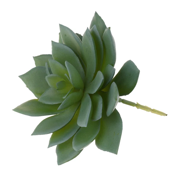 Expertly Made Maxbell 2 Pieces Artificial Succulent Plants Snow Lotus Echeveria Flower Arrangement Eco-Friendly