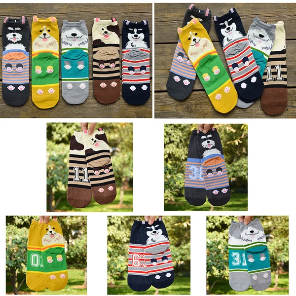 Top-Quality Maxbell 5 Pair Pure Cotton Coloured Mid Calf Ankle Crew Short Socks New Functional