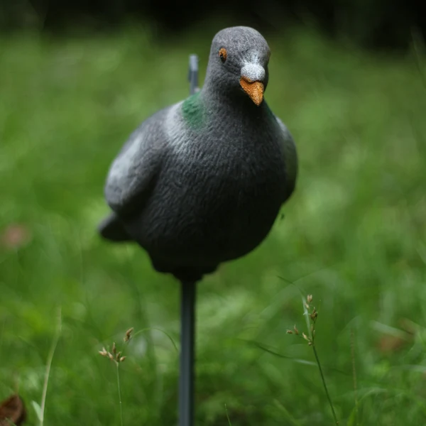 Outstanding Maxbell 2Pcs Lifelike Pigeon Decoy Hunting Bait Trap Pest Control Garden Bird Scarer Scarecrow Prestigious