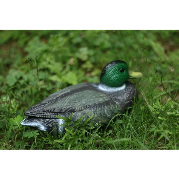 Responsible Maxbell 1 Pair Plastic Mallard Duck Decoy Floating Drake Duck Decoy for Hunting Fishing Specialty