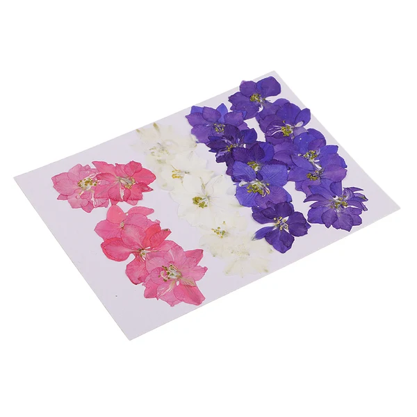 Effective Maxbell 20 Pieces Pressed Dried Flower Flower Delphinium Scrapbooking Embellishments for Jewelry Making DIY Ornament Stylish