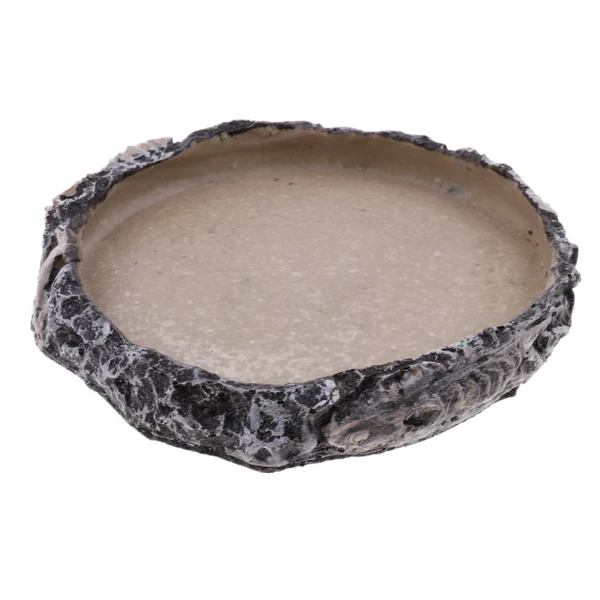 Specialty Maxbell Reptile Vivarium Terrarium Feeding Bowl Tortoise lizard Gecko Tarantula Water Food Worm Feeder Basin Shaped Fine Crafted