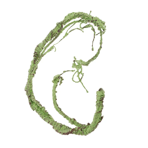 Recyclable Maxbell 110cm 43.3 Long Artificial Ivy Vine for Reptile Amphibian Green Simulation Plants Pet House Decor Jungle Habitat User-Friendly