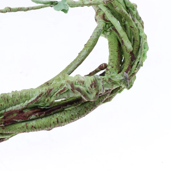 Reusable Maxbell Bendable Reptiles Vine Green Jungle Climber Vines Terrarium Habitat Decor Durable