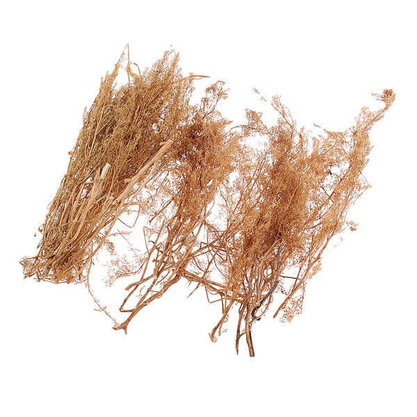 Fine Crafted Maxbell Natural Quinoa Model DIY Accessory for OO Sacle RR Tain Railway Building Toy User-Friendly
