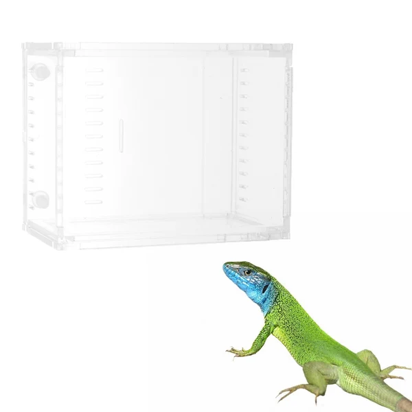 High-End Maxbell Small Acrylic Clear Pet Reptiles Box Breeding Feeding Tanks Container 10.5x8.5x6cm Elegant