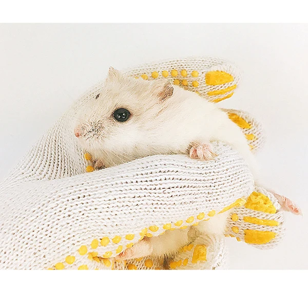 Reliable Maxbell 5 Pair Set Gloves for Hedgehog Bird Hamster and other Small Animals Great to Bite-proof by Hamster Pure