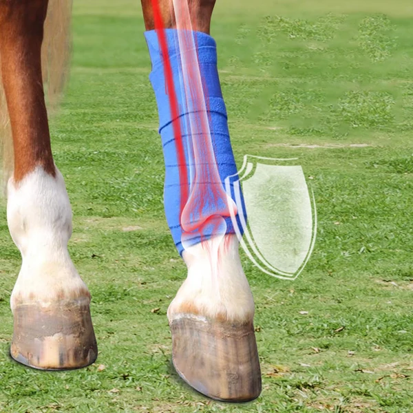 Fashionable Maxbell 4 Pieces Horse Leg Wraps Pony Legging Wrap Horse Splint Support Bandage Set Refined