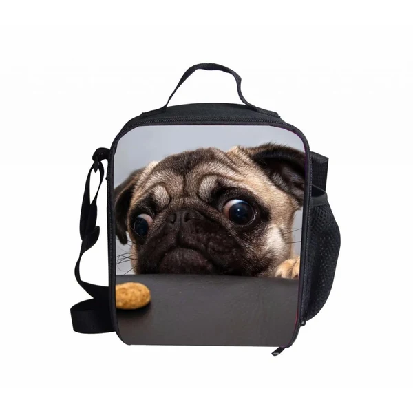 Reusable Maxbell Insulated Lunch Storage Box Picnic Food Carry Tote Travel Bento Bag Dog 12 Safe
