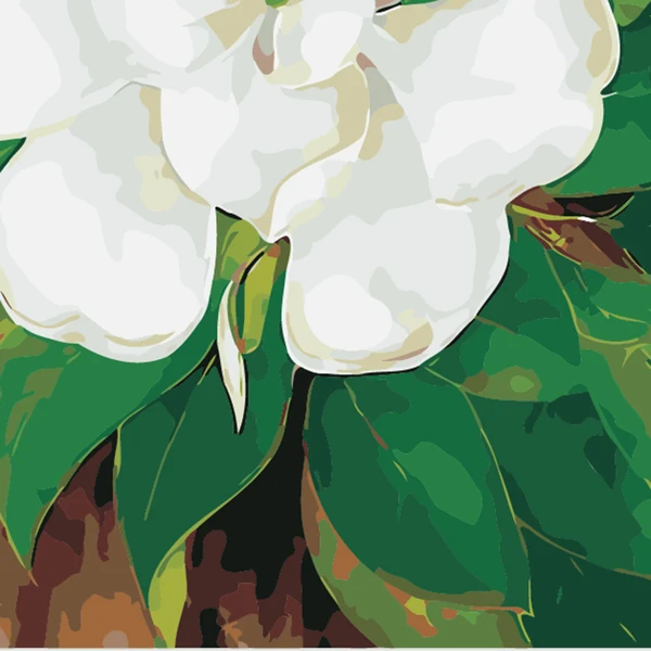 Expertly Made Maxbell DIY Paint By Numbers Kit Canvas Painting Wall Picture Crafts Jasmine Carefully Designed