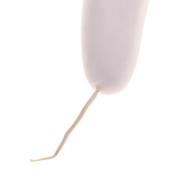 Powerful Maxbell Decorative Plastic Artificial Fake Vegetables White Radish White Radish Classic