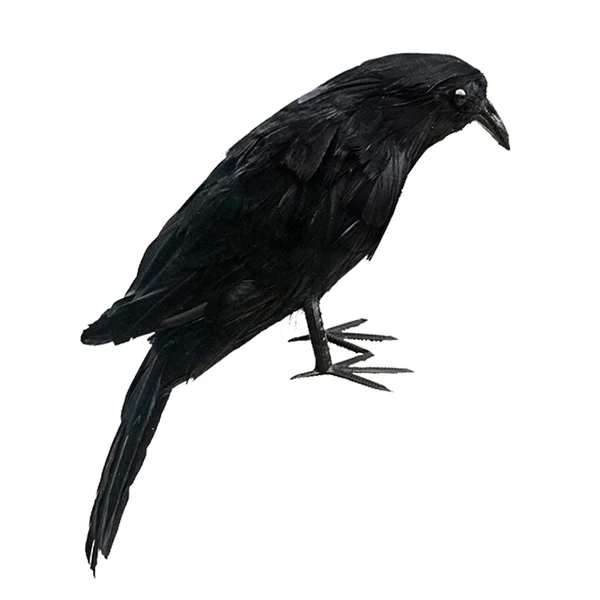 Trendy Maxbell Artificial istic Woodland Birds for Garden Weding Home Decoration 4 Professional