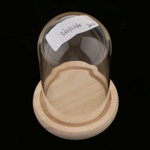 Responsible Maxbell Maxbell Wooden Glass Dome with Wooden Base Cloche Glass Cover Flower Vase Holder A Organic