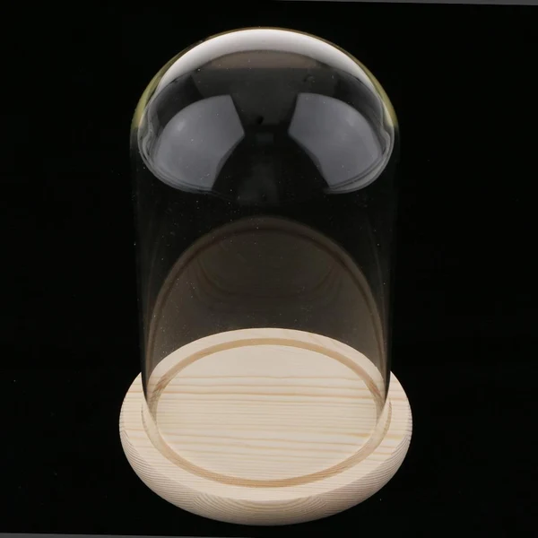Unique Maxbell Maxbell Wooden Glass Dome with Wooden Base Cloche Glass Cover Flower Vase Holder F Prestigious