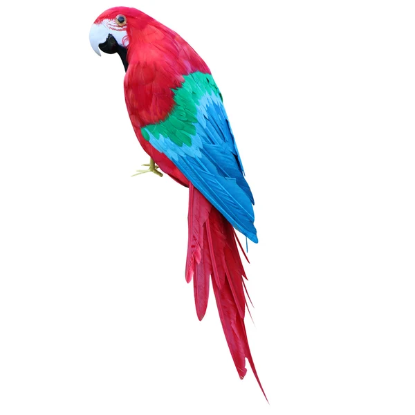 Flexible Maxbell Small Artificial Bird Feathered istic Garden Home Decor Ornament 6 Enhanced