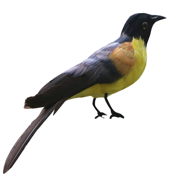 Relaxed Maxbell Small Artificial Bird Feathered istic Garden Home Decor Ornament 11 Authentic
