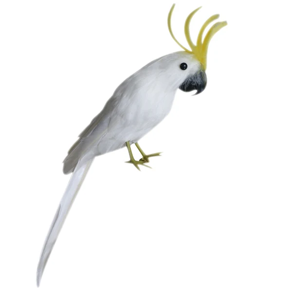 High-Quality Maxbell Small Artificial Bird Feathered istic Garden Home Decor Ornament 5 Refined