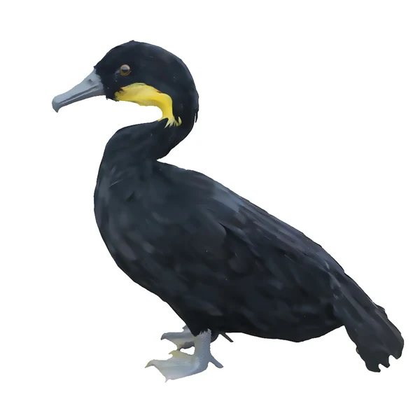 Exclusive Maxbell istic Artificial Animal Mini Feathered Garden Decor Figure Cormorant Casual