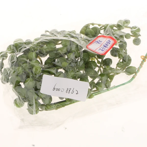 Unique Maxbell Artificial Ivy Leaf Garland Plants Vine Home Decor Pearl Leaves Green Sophisticated