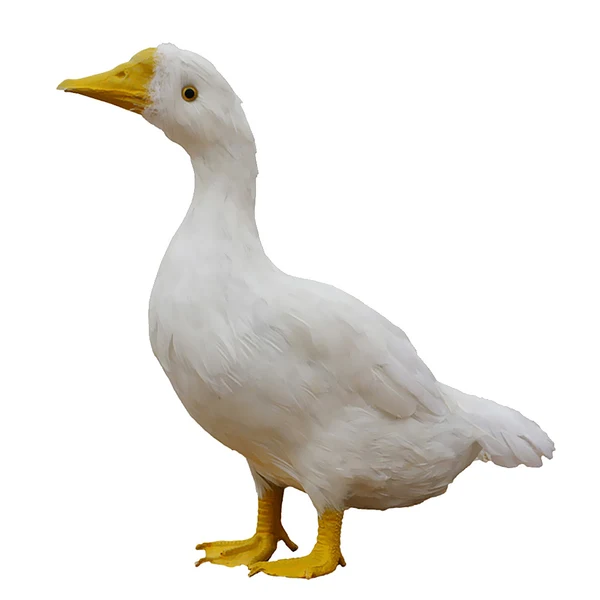 Carefully Designed Maxbell istic Artificial Animal Mini Feathered Garden Decor Figure Goose High-Grade