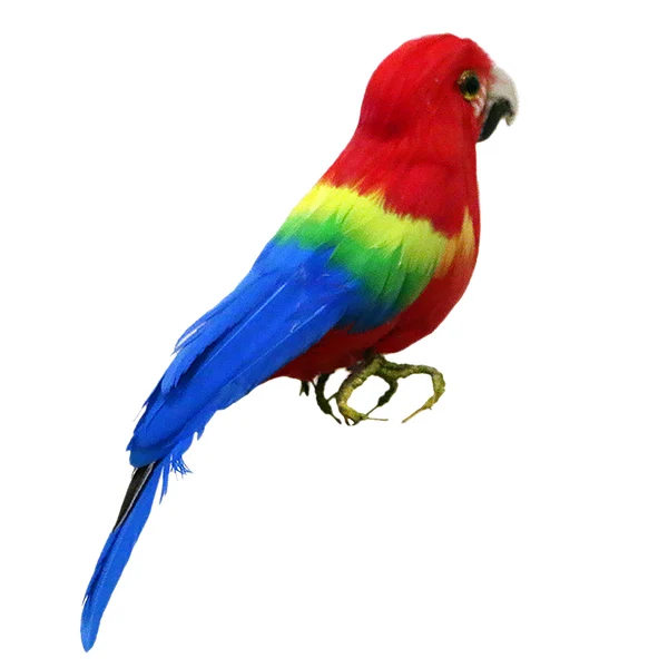 Reusable Maxbell Artificial Bird Feathered istic Garden Home Decor Ornament Parrot 4 High-Quality