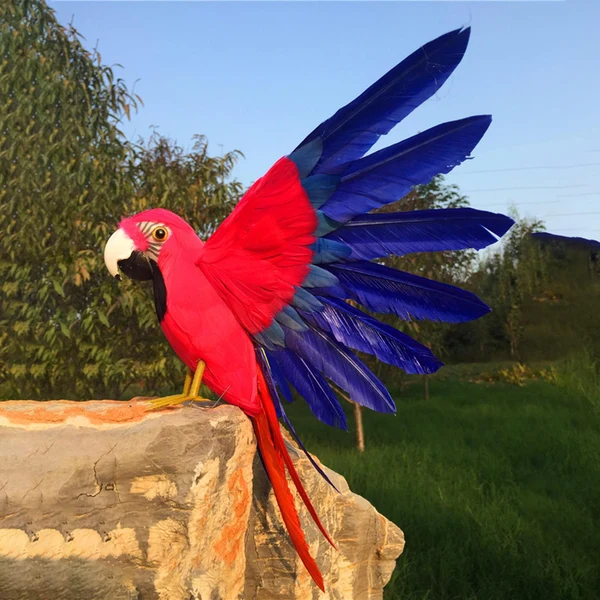 Specialty Maxbell Handmade Artificial Parrot Model Feather Ornament for Home Garden Style C Trendy