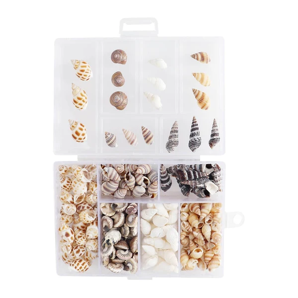 Functional Maxbell 100g Natural Conch Shell Loose Bead DIY Necklace Bracelet Jewelry Findings Selected
