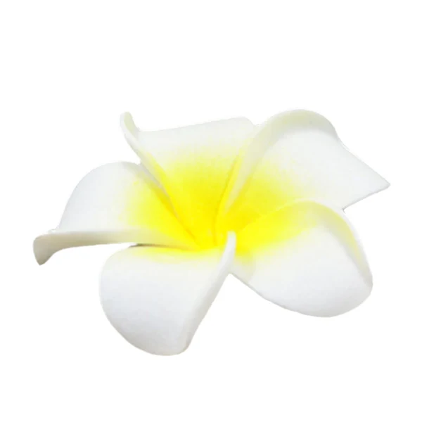 User-Friendly Maxbell 20 Pieces Assorted Size Foam Artificial Flower Plumeria Rubra Wedding Decoration Embellishments for Crafts Clean