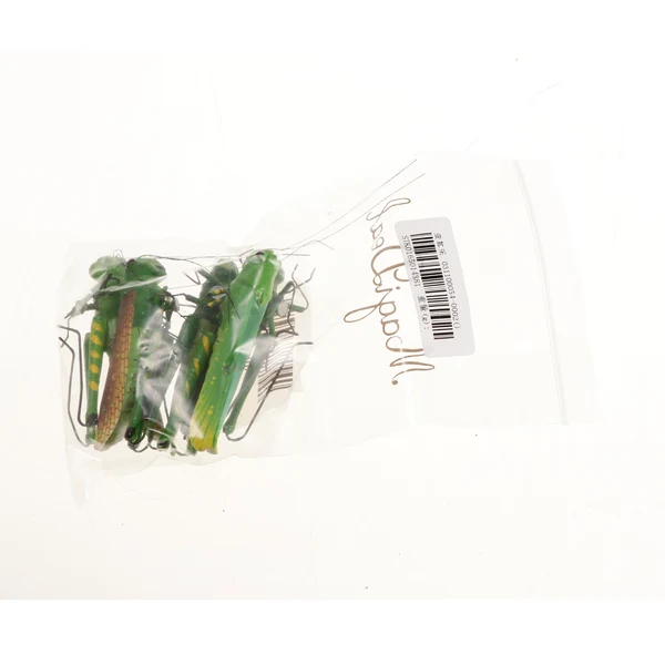 Practical Maxbell 5Pcs Simulation Artificial Insect Model Kids Educative Toys Locust Expertly Made